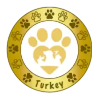 ALTİNPATİLER